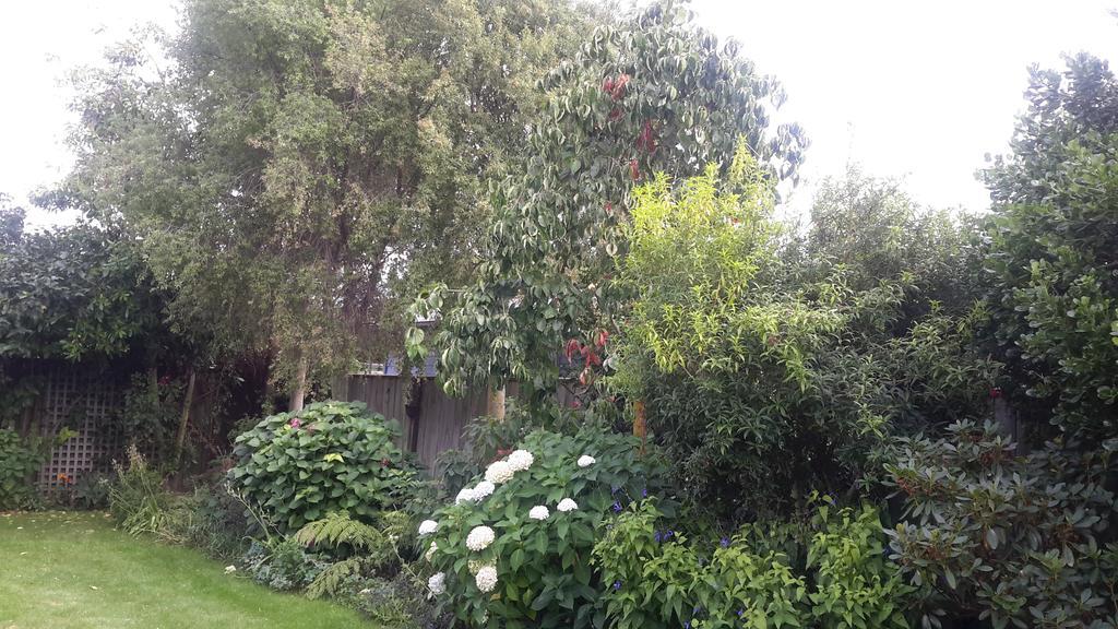 Jade Bed & Breakfast Blenheim Bagian luar foto